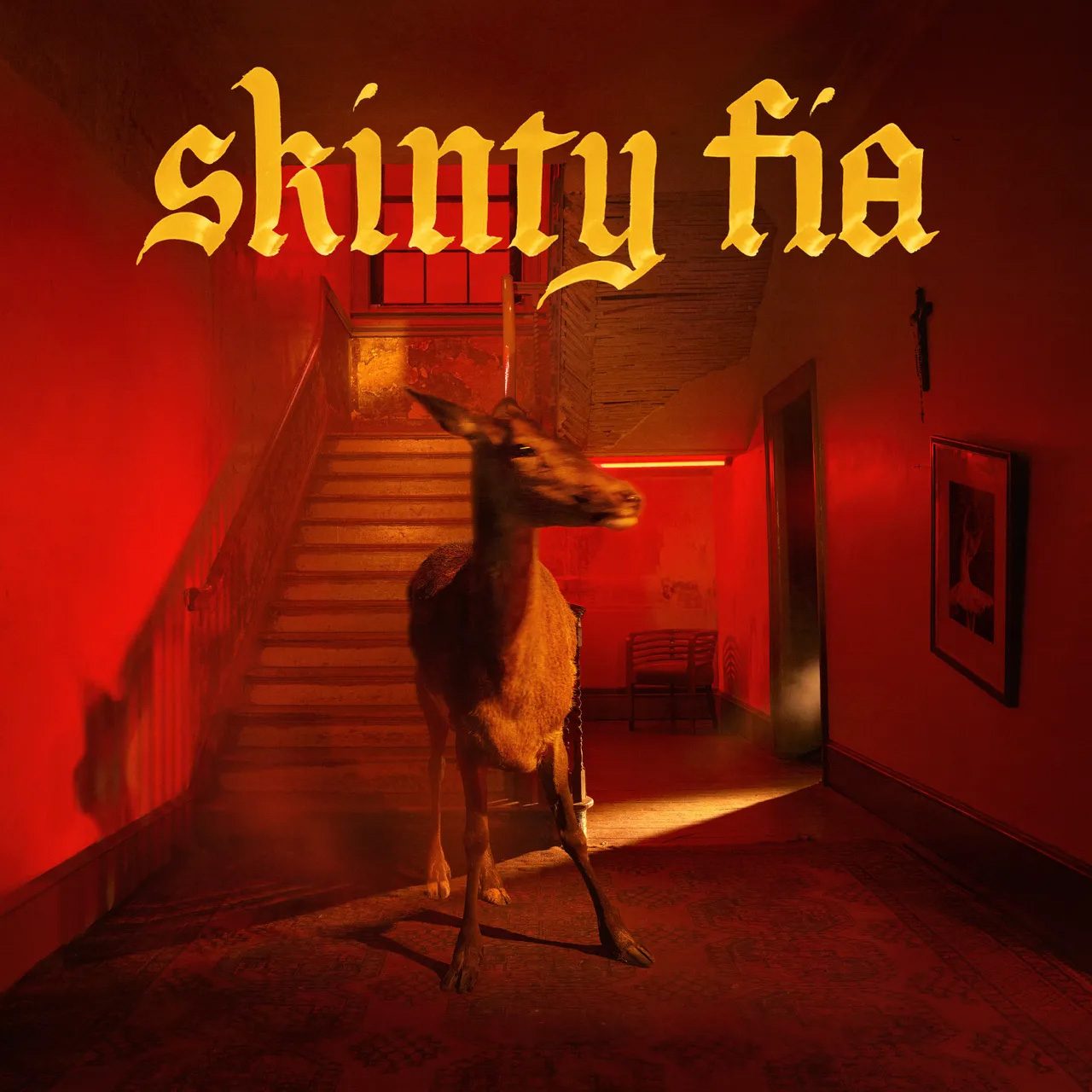 Show Image of Skinty Fia