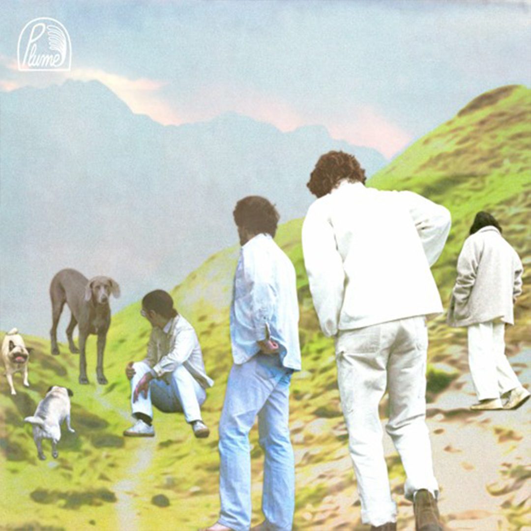 Image of individuals in denim on hill with dogs.
