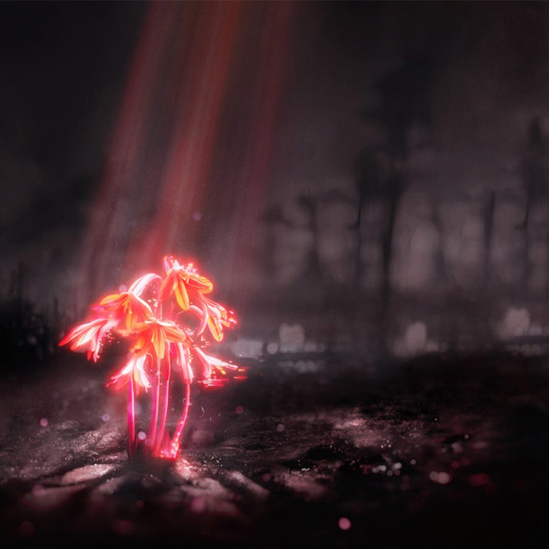 Dark image with bright red flowers in front